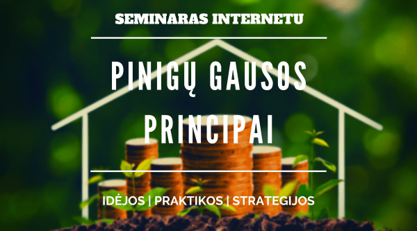 pinigų gausos principai seminaras online